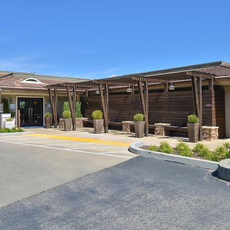 Holiday Inn Express Mill Valley San Francisco Area By Ihg Esterno foto