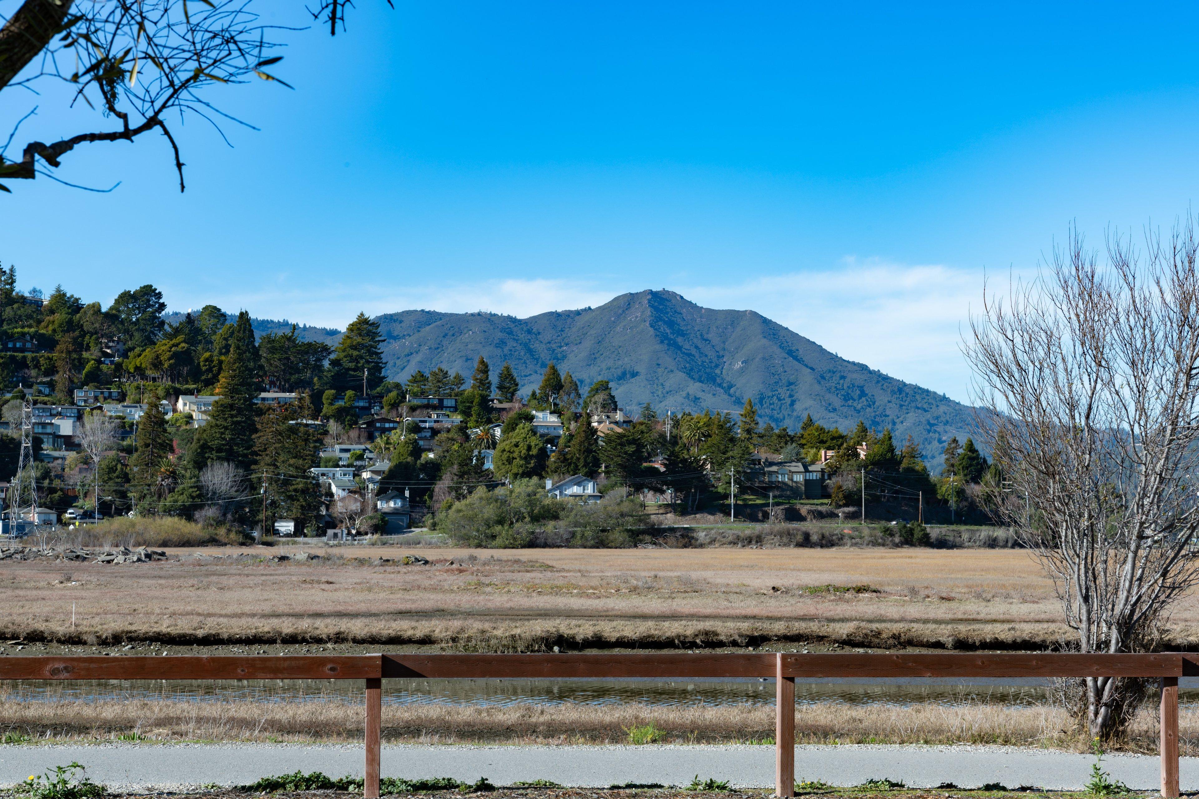 Holiday Inn Express Mill Valley San Francisco Area By Ihg Esterno foto