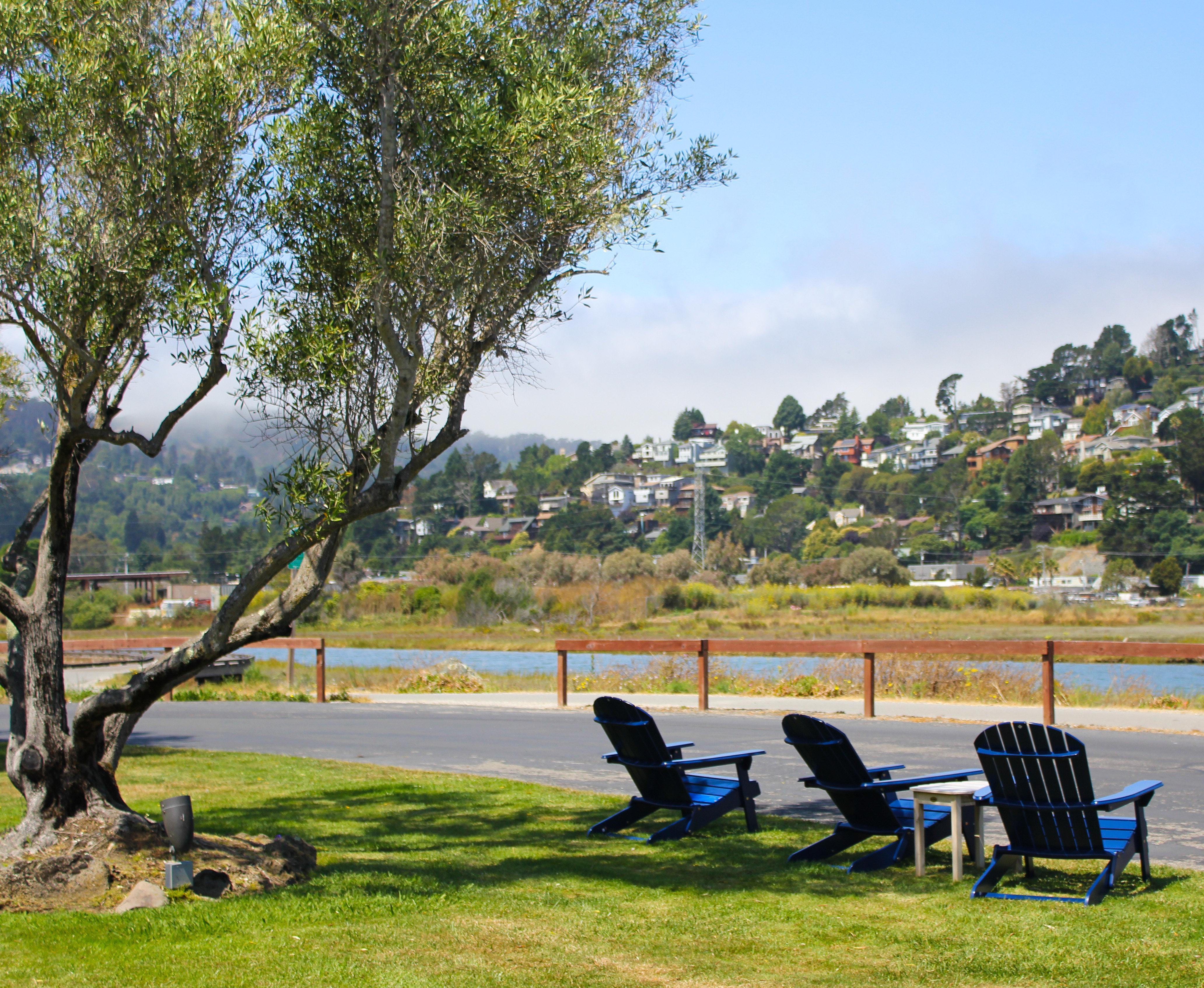 Holiday Inn Express Mill Valley San Francisco Area By Ihg Esterno foto