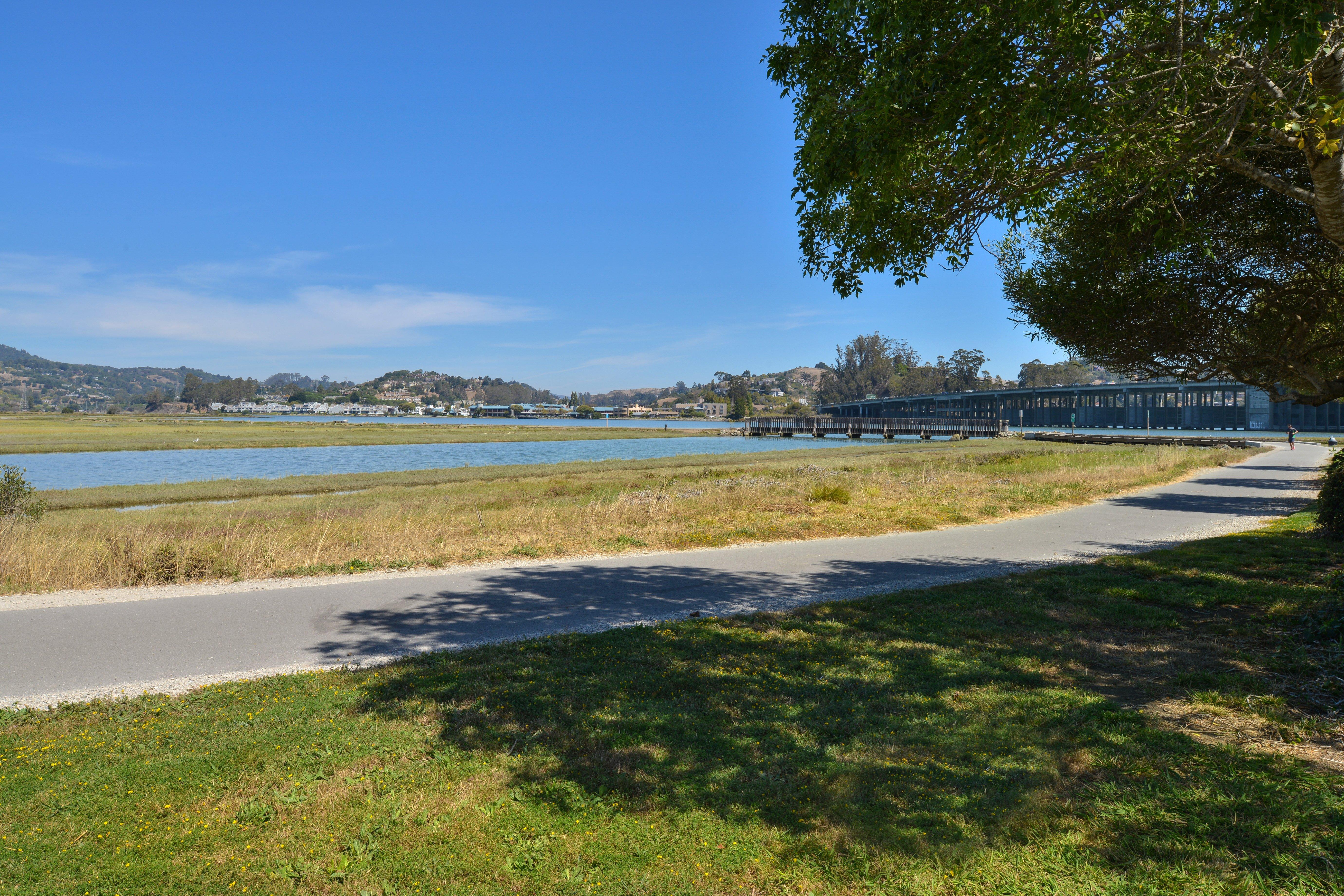 Holiday Inn Express Mill Valley San Francisco Area By Ihg Esterno foto
