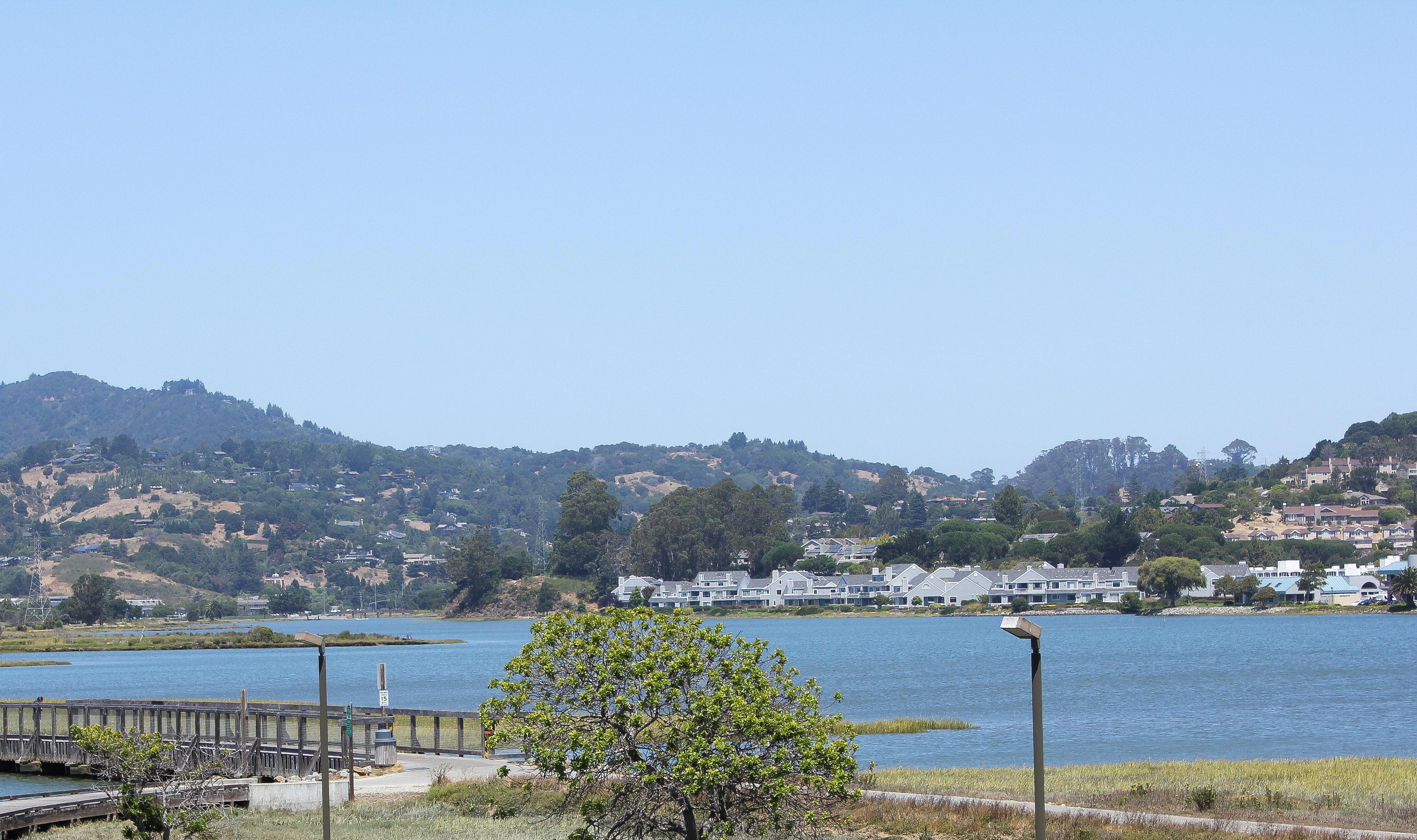 Holiday Inn Express Mill Valley San Francisco Area By Ihg Esterno foto