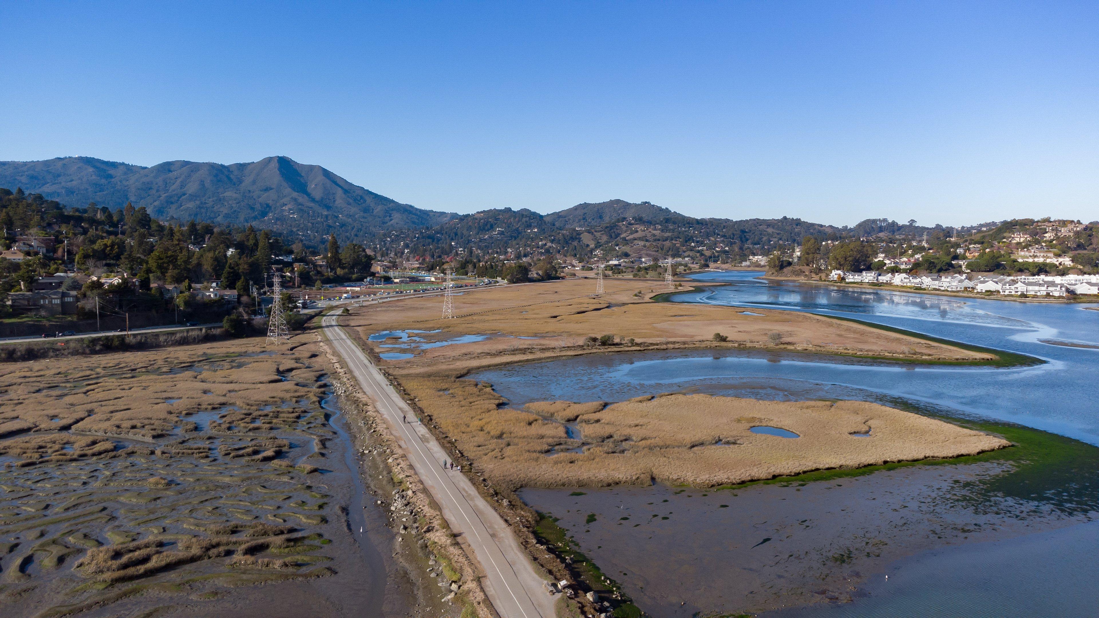 Holiday Inn Express Mill Valley San Francisco Area By Ihg Esterno foto