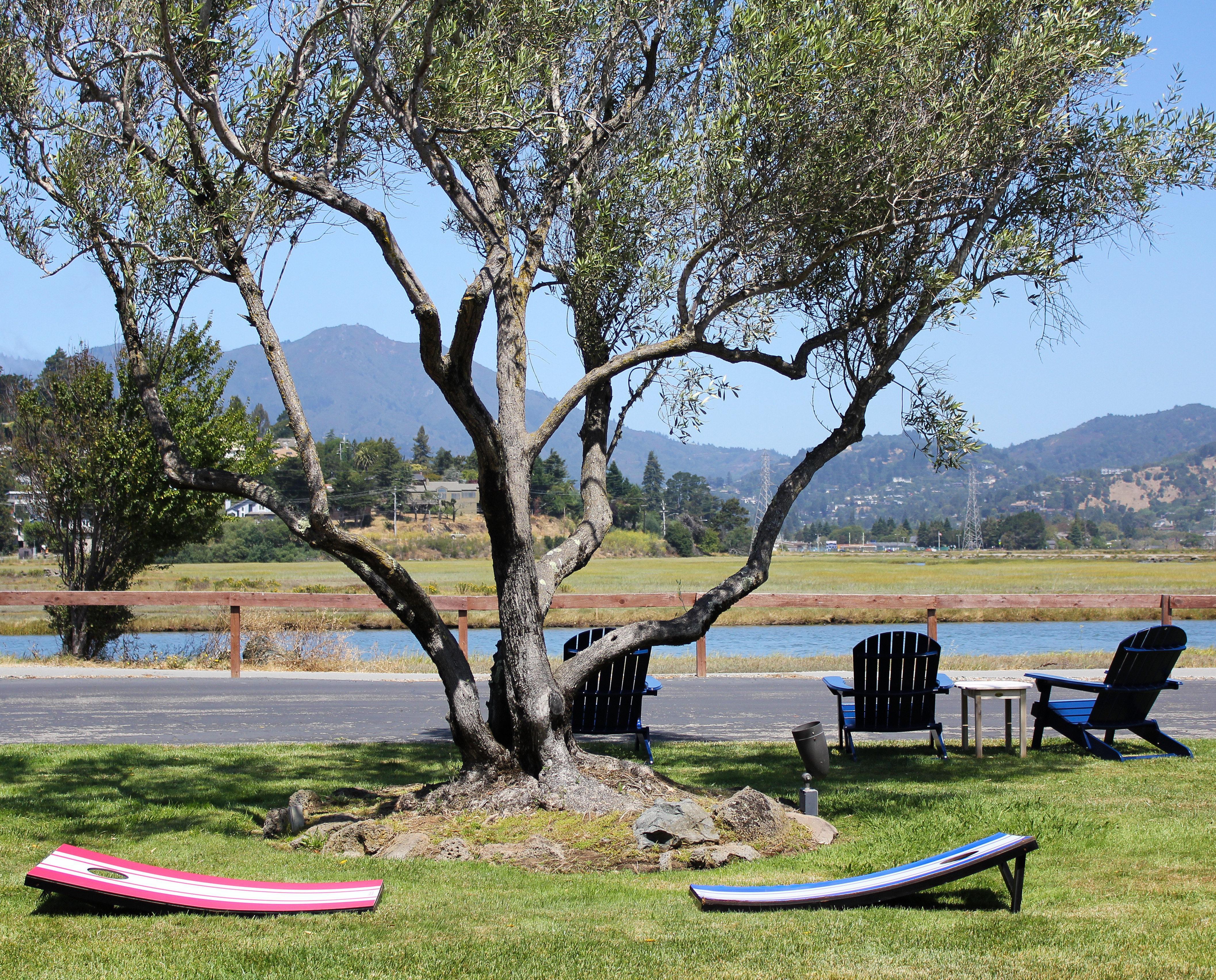 Holiday Inn Express Mill Valley San Francisco Area By Ihg Esterno foto